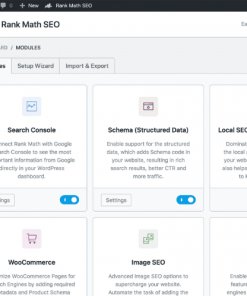 Rank Math Professional – WordPress website positioning Made Straightforward