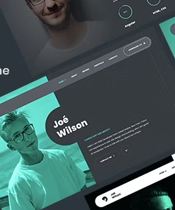 Myour – CV Resume WordPress Theme